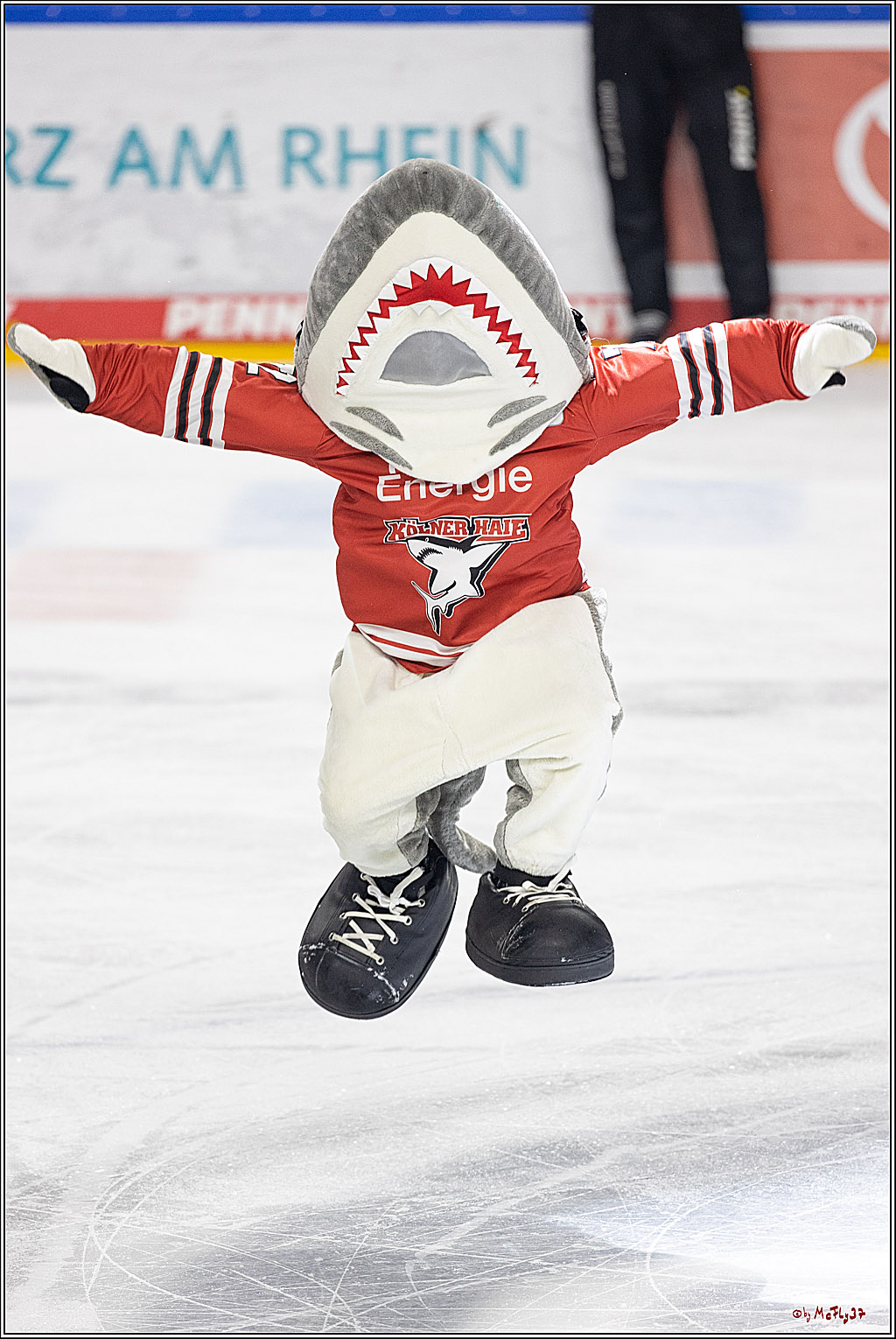 PENNY DEL;  Kölner Haie - Düsseldorfer EG; Köln, 16.12.2022